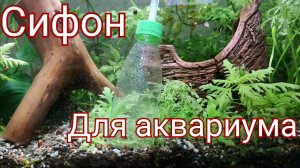 Как сделать сифон для аквариума своими руками