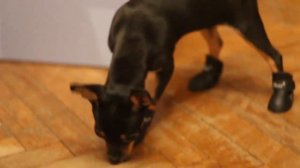 Блогер АИДА АСКЕРОВА ⭐️ Ютуб канал AIDA ASKEROVA #AidaAskerova