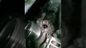 Обгонная муфта генератора NISSAN QASHQAI 2008, 1,5 дизель