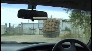 Продаю лес на корню