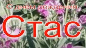 СТАС, С ДНЕМ РОЖДЕНИЯ