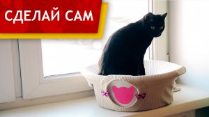 Кровать-гамак для кошки за 1 минуту - DIY Сделай Сам