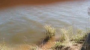 Две рыбалки: на карпа и толстолобика (Д2Р)