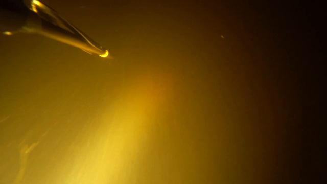 ДЕСНА / ВІДКРИТТЯ СЕЗОНУ ПОЛЮВАННЯ 2022 смотреть онлайн