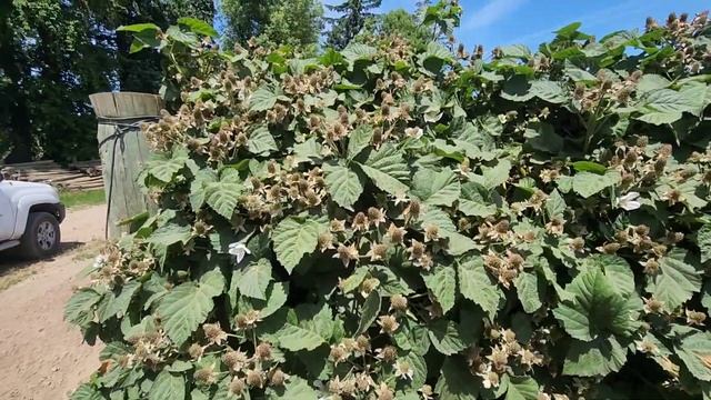 завезли пчел в предгорье Молола смотреть онлайн