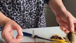 ЭКЗОТИЧЕСКИЕ ФРУКТЫ в домашних условиях! МАНГО! выращиваем из косточки.