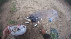 Рыбалка на кастинговую сеть! Ловля рыбца! Как бросать кастинговую сеть!  сеть с алиэкспресс!