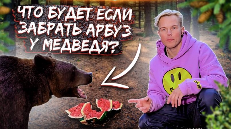 Что сделает медведь если забрать у него арбуз ? #shorts #bear