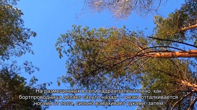 Стюардесса сделала сальто назад на борту самолета и попала на видео