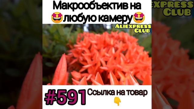 Объектив на камеру