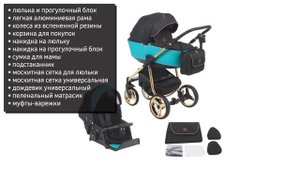 Универсальная коляска Adamex Barcelona Special Edition (2 в 1, 3 в 1)