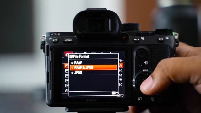 SONY A7RIII CAMERA SETTING | SONY A7III USER GUIDE | MENU SETTINGS | Hindi and Urdu