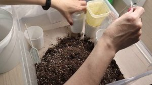 Составление грунта для суккулентов.