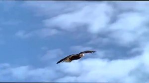 Памяти СВЕТланы Левашовой поСВЕщается