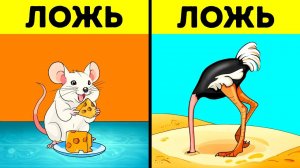 Синему киту не под силу проглотить машину и 50+ мифов и фактов о животных