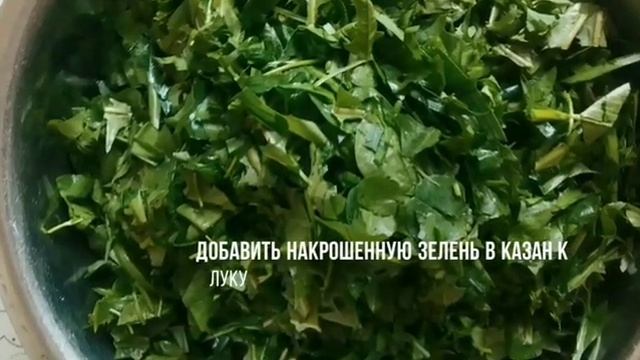 Кок самсы