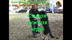 Самая нужная игра