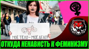 Почему мужчины не любят феминисток ( Авторские статьи ЯндексДзен #39)