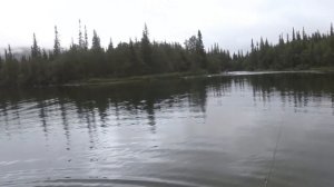 Трофейный Хариус Сейдозера, Ловозера Часть 1