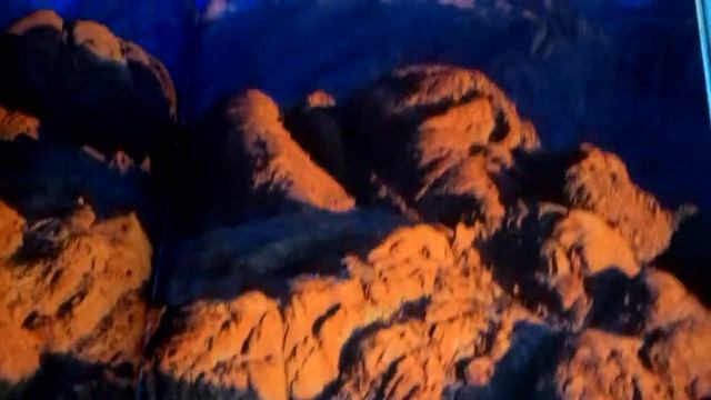 Самая красивая книга о природе. Чудеса природы смотреть онлайн