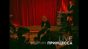 Фейгин - Принцесса (Live in Moscow)