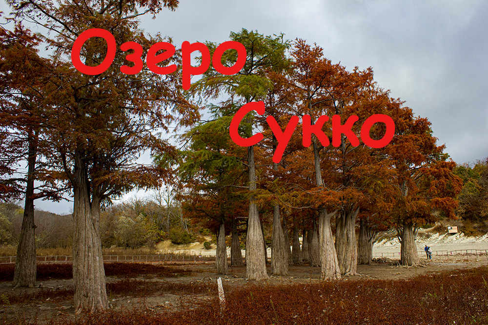 Озеро Сукко смотреть онлайн