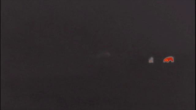 wildboar spotting pulsar helion XP50 смотреть онлайн