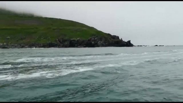 Лососевые браконьеры пойманы в заповеднике на Камчатке смотреть онлайн