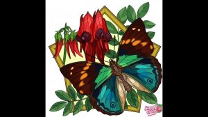 Бабочки 311-320