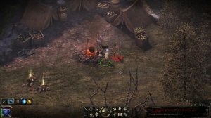 Pillars of Eternity: The White March, часть 1