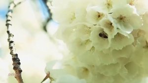 От зари до зари/христианская песня