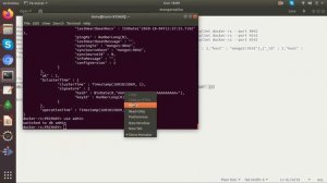 Setup MongoDB ReplicaSet with Docker and Robo3T on Linux