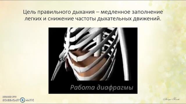 Видеоурок 