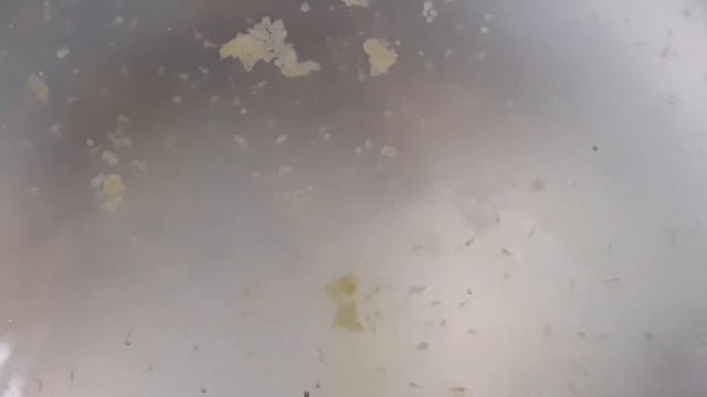 выращиваем питомца из юрского периода 2 часть смотреть онлайн