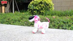 РУССКИЕ ИГРУШКИ ZHORYA TOYS ZY1243480 ZYA-A3008