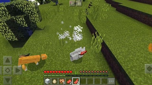 ЗНОКОМСТВО С КОТОМ/ЖИЗНЬ ЖИВОТНЫХ#1/Minecraft ?