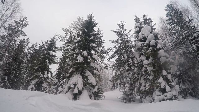 Backcountry Riding | Boondocker 850 3900 ds смотреть онлайн
