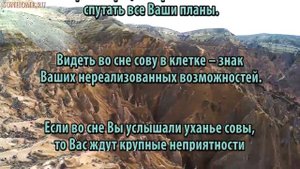 К чему снится Сова сонник, толкование сна