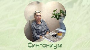 Цветы дома. Сингониум. Черенки, рассуждения, планы.