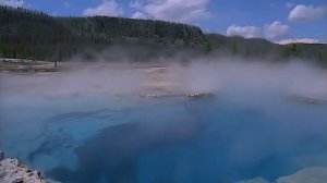 Мир вокруг нас