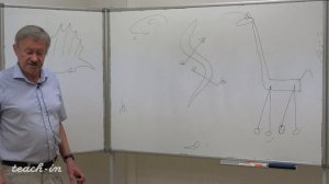 15. Класс Млекопитающие. Часть 2. Зоология позвоночных - Корзун Л. П. Teach-in.