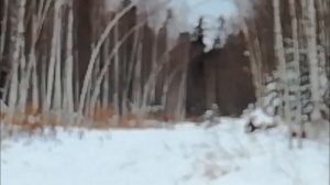 Промысловая охота у подножия Сихотэ-Алиня