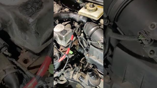 Форд Торнео конект номер двигателя. смотреть онлайн