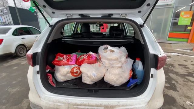 Помогаем Доброму сердцу Пермь, приют для животных смотреть онлайн