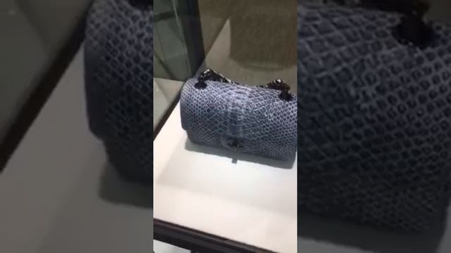 Chanel Mini Flap Bag Python
