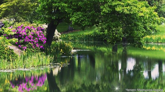 Откуда Берутся Болота. Мудрая Притча. Для Детей. смотреть онлайн