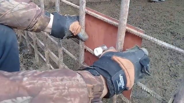 Нипельные поилки для свиней