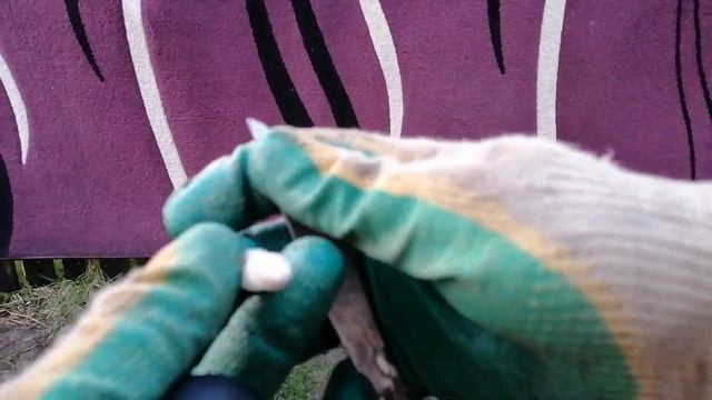 Быстрый ремонт фрезы кёрхера! смотреть онлайн