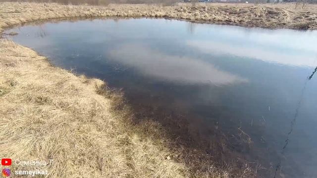 Из этого дачного пруда мы будем ловить карасей и зарыблять в наш большой почищенный пруд на даче