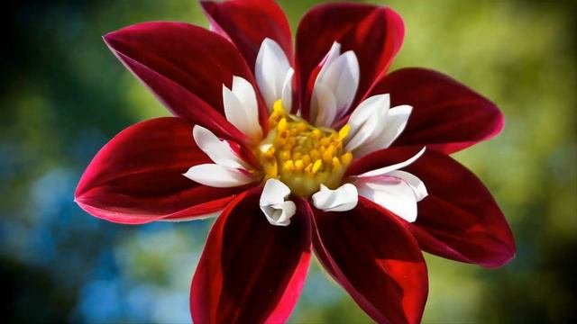 Музыка для души ! Музыка с красивыми и вдохновляющими осенними сценами ! Его можно слушать вечно ! смотреть онлайн